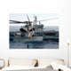 Mh-60s Seahawk Hovers Prior Wall Decal