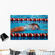 Airman Swims 1 600-meter Wall Decal
