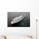 Military Sealift Command Hospital Wall Decal Design 1