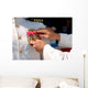 Legion Merit Medal Wall Decal