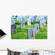 American Flags Placed Front Wall Decal