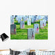 American Flags Placed Front Wall Decal