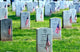 American Flags Placed Front Wall Decal