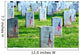 American Flags Placed Front Wall Decal