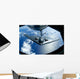 B-2 Spirit Moves into Wall Decal