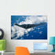 B-2 Spirit Wall Decal Design 1