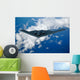B-2 Spirit Wall Decal Design 1