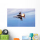 F-16 Fighting Falcon Drops Wall Decal