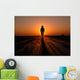 Sailor Walks Catapults Flight Wall Decal
