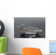 Uss Kitty Hawk Wall Decal