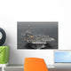 Uss Kitty Hawk Wall Decal