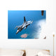 New York Air National Wall Decal