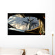 Kc-135 Stratotanker Connects with Wall Decal