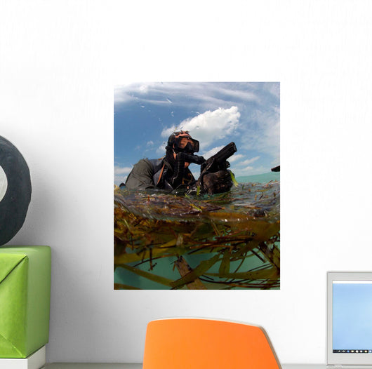 Us Navy Seal Surfaces Wall Decal