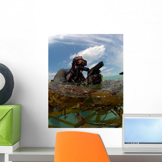 Us Navy Seal Surfaces Wall Decal