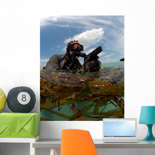 Us Navy Seal Surfaces Wall Decal