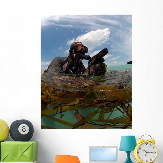 Us Navy Seal Surfaces Wall Decal