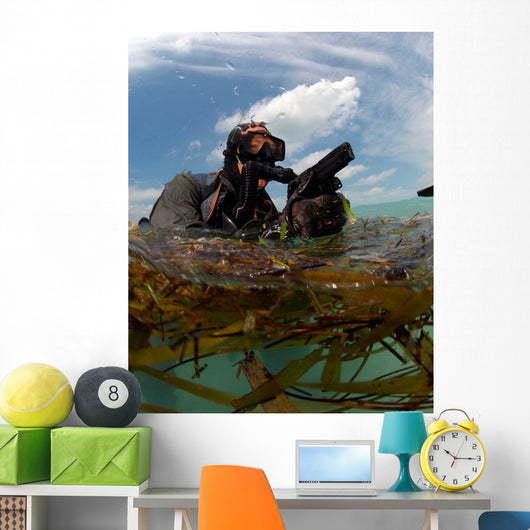 Us Navy Seal Surfaces Wall Decal