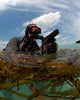 Us Navy Seal Surfaces Wall Decal