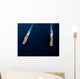 Uss Iwo Jima Steams Wall Decal