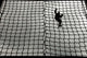 Us Army Soldier Makes Wall Decal