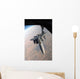 F-15e Strike Eagle Gets Wall Decal