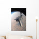 F-15e Strike Eagle Gets Wall Decal