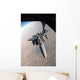 F-15e Strike Eagle Gets Wall Decal