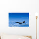 F-15 Eagle Aircraft Fire Wall Decal