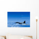 F-15 Eagle Aircraft Fire Wall Decal