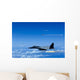 F-15 Eagle Aircraft Fire Wall Decal