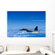 F-15 Eagle Aircraft Fire Wall Decal