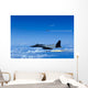 F-15 Eagle Aircraft Fire Wall Decal