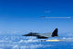 F-15 Eagle Aircraft Fire Wall Decal