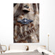 Fleet Marine Force Warfare Wall Decal Design 3