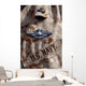 Fleet Marine Force Warfare Wall Decal Design 3