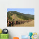 Marines Hike Their Way Wall Decal