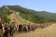 Marines Hike Their Way Wall Decal