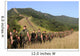 Marines Hike Their Way Wall Decal