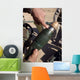 Squad Leader Points to Wall Decal
