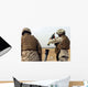 Marine Prepares to Drop Wall Decal