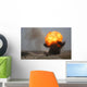 Controlled Demolition Damaged Ammunition Wall Decal