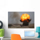 Controlled Demolition Damaged Ammunition Wall Decal