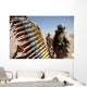 Belts 50-caliber Ammunition Hang Wall Decal