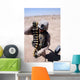 Marine Handles String 40 Wall Decal