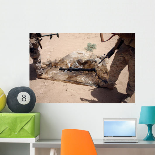 Marines Stand over Rocket-propelled Wall Decal