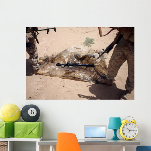 Marines Stand over Rocket-propelled Wall Decal