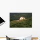 Marine Scores Direct Hit Wall Decal