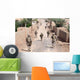 Marines Patrol Streets Iraq Wall Decal