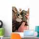 Marine Cradles Handfuls 40 Wall Decal